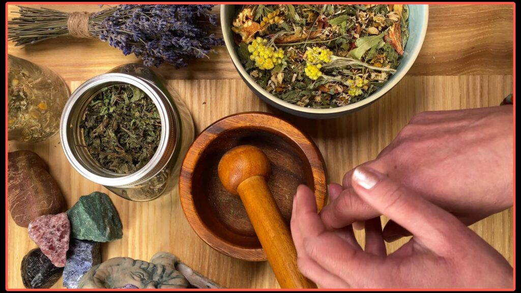 herbs orange background