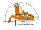 thewellmanclinic.net