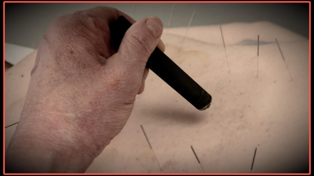 moxa with orange border